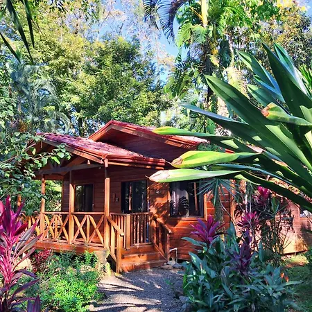 Cabinas Costa Tropicana Uvita Exterior photo