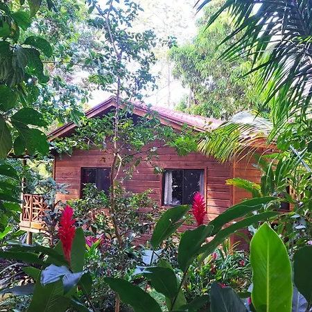Cabinas Costa Tropicana Uvita Exterior photo