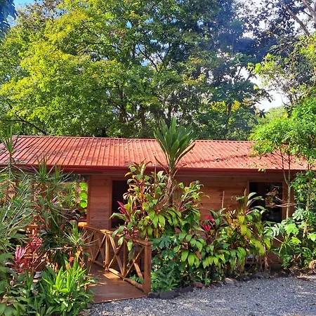 Cabinas Costa Tropicana Uvita Exterior photo