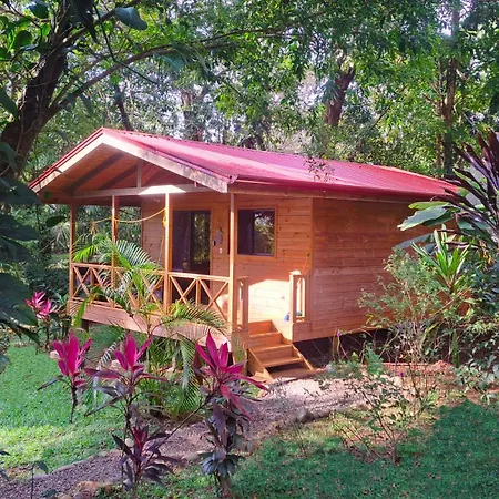 Cabinas Costa Tropicana Uvita Exterior photo