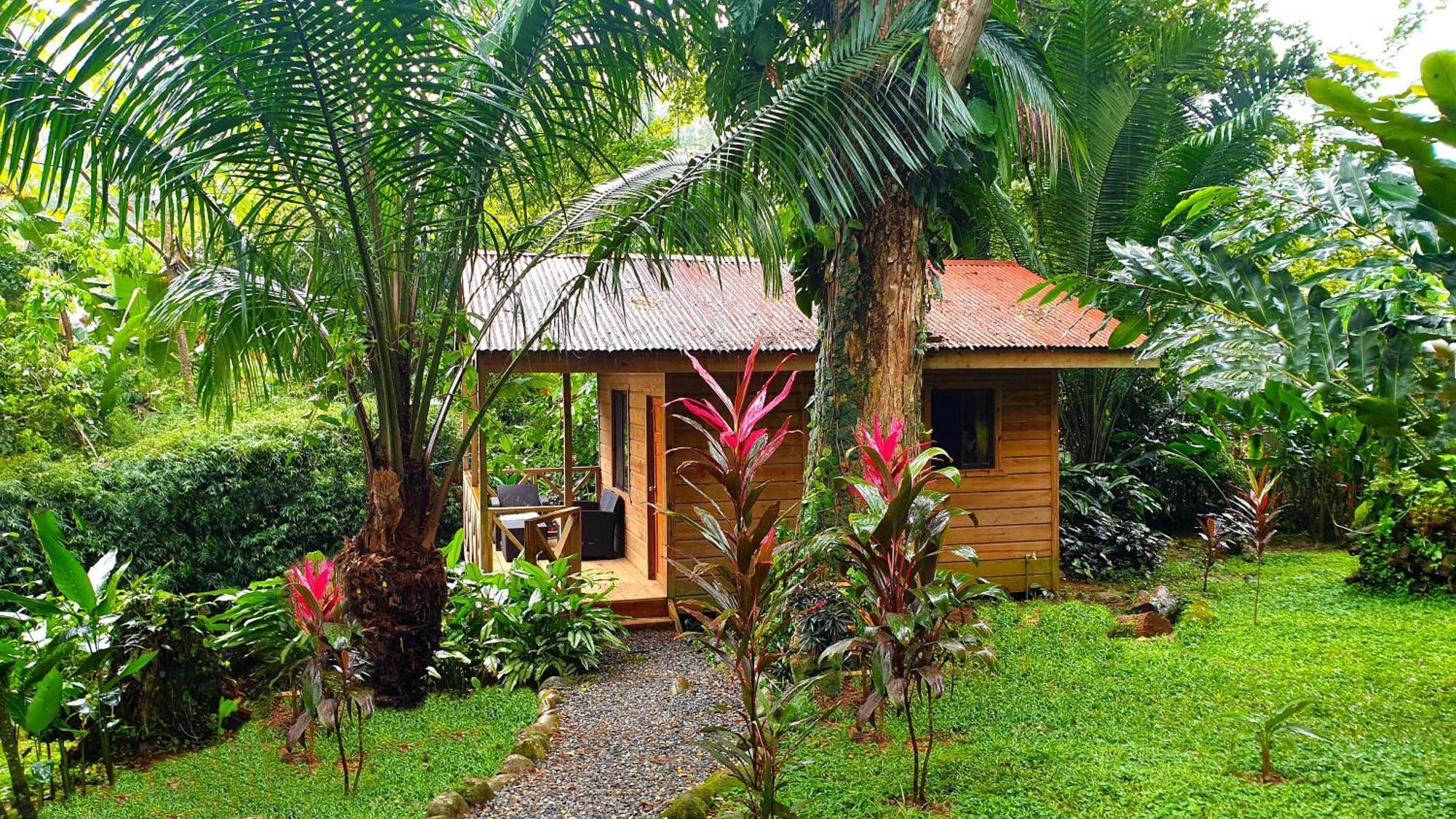 Cabinas Costa Tropicana Uvita