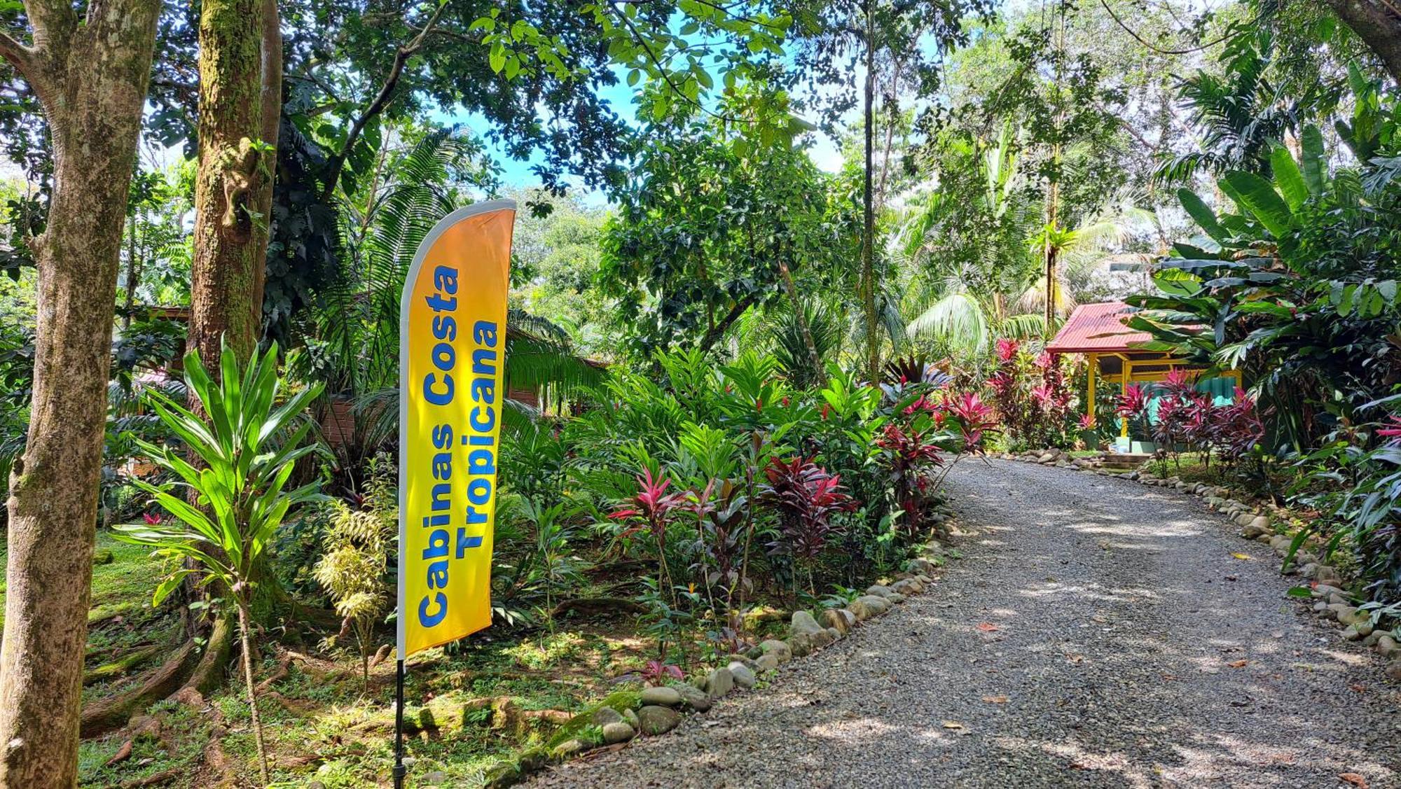 Cabinas Costa Tropicana Lodge *