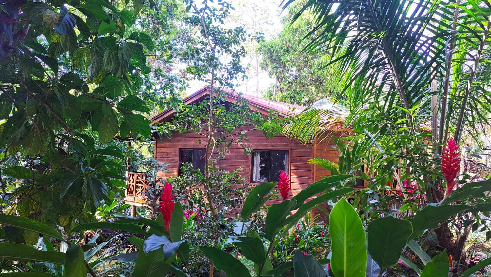 Cabinas Costa Tropicana *