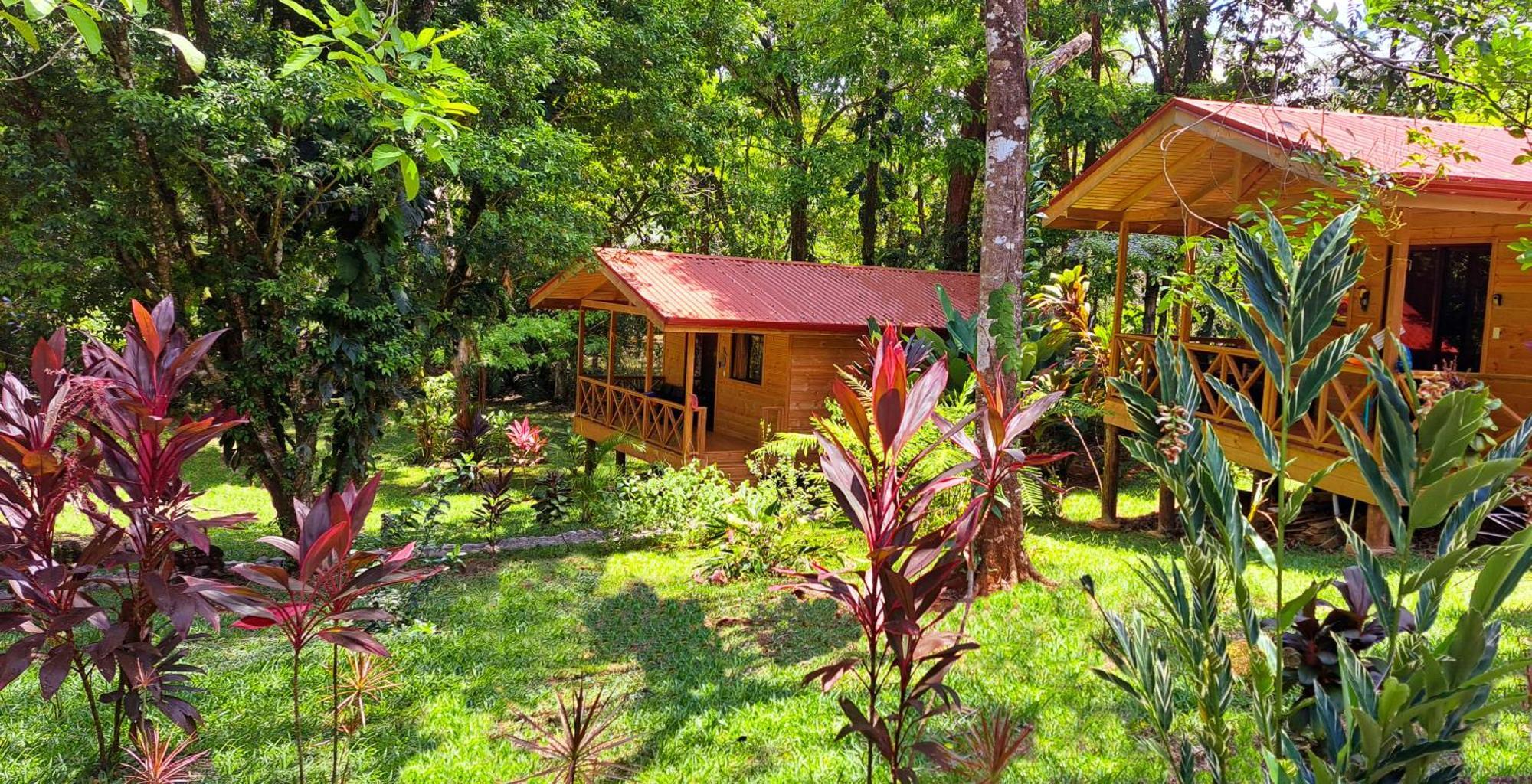 Cabinas Costa Tropicana *